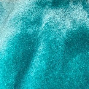 Kate Spade Throw Blanket